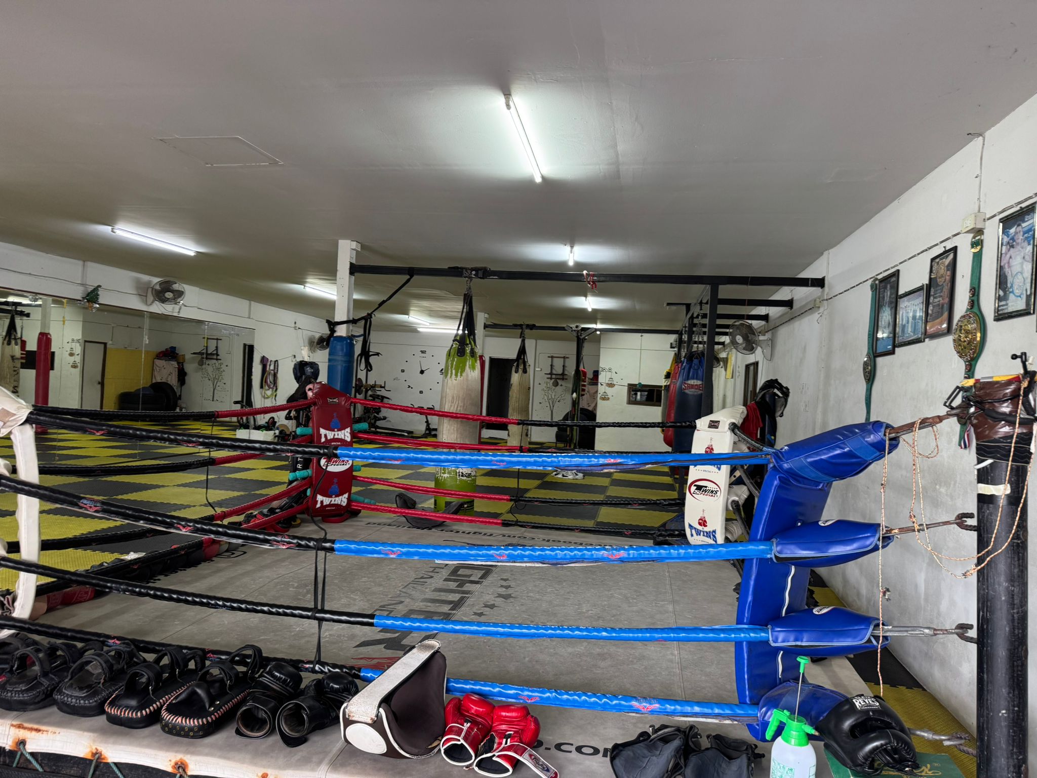 Gym ring area